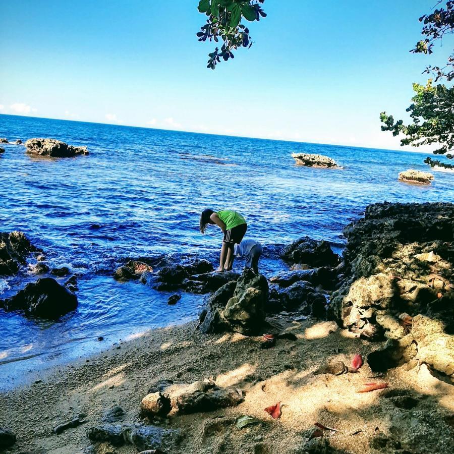 Cahuita Inn Exteriör bild