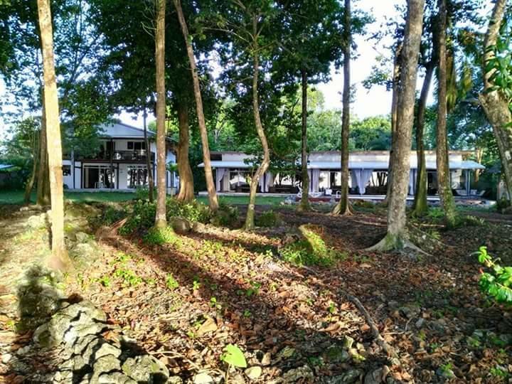 Cahuita Inn Exteriör bild